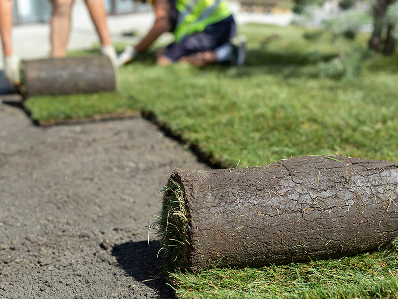 Thumbnail of a painting project