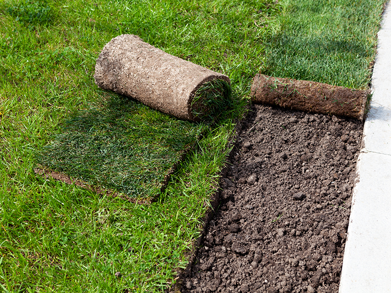 Thumbnail of a waterproofing system